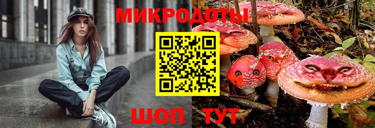 Псилоцибиновые грибы мухоморы  Вход с VPN  Белая Калитва  Псилоцибиновые грибы Psilocybe 